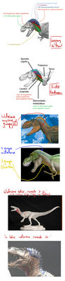 Tyranossaurus_muscle_study_02+2013.jpg