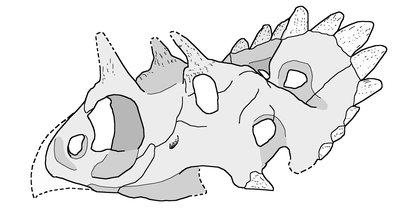 regaliceratops.jpg