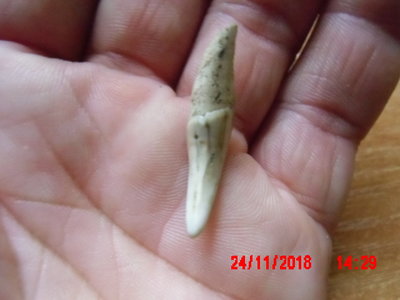 IMG_0001.JPG (230.62 KiB) Przejrzano 12044 razy IMG_0001.JPG