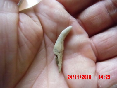 IMG_0003.JPG (240.91 KiB) Przejrzano 12044 razy IMG_0003.JPG