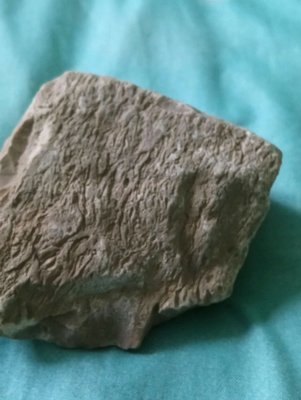 DSC_0529-min.JPG (58.62 KiB) Przejrzano 3512 razy DSC_0529-min.JPG