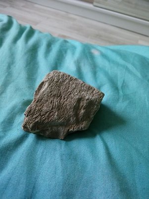 DSC_0530-min.JPG (82.9 KiB) Przejrzano 3338 razy DSC_0530-min.JPG