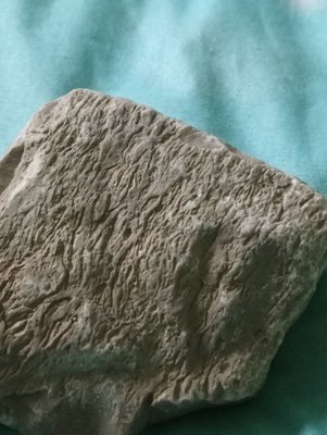 DSC_0531-min.JPG (76.46 KiB) Przejrzano 3399 razy DSC_0531-min.JPG