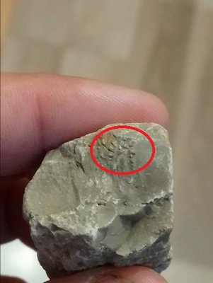 DSC_0567-min.JPG (50.67 KiB) Przejrzano 3440 razy DSC_0567-min.JPG