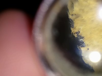 DSC_2137.JPG (3.41 MiB) Przejrzano 16421 razy DSC_2137.JPG