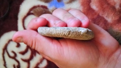 DSC_0757.JPG (3.9 MiB) Przejrzano 16068 razy DSC_0757.JPG