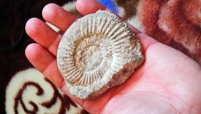 DSC_0758.JPG (4.47 MiB) Przejrzano 16068 razy DSC_0758.JPG