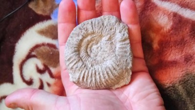 DSC_0756.JPG (4.2 MiB) Przejrzano 16068 razy DSC_0756.JPG