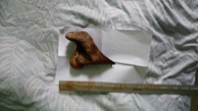 DSC_0759.JPG (3.74 MiB) Przejrzano 3501 razy DSC_0759.JPG