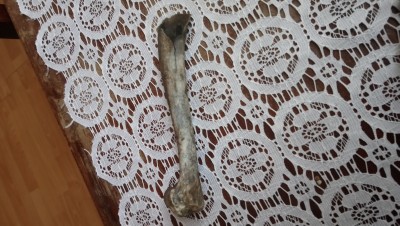 DSC_0962.JPG (4.07 MiB) Przejrzano 2858 razy DSC_0962.JPG