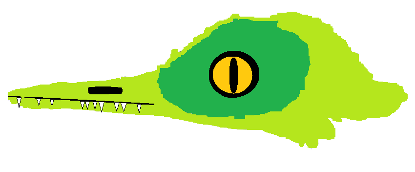 oculudentavis head.png