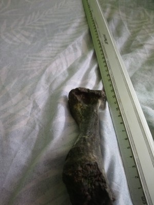 DSC_1113_Easy-Resize.com.jpg (227.59 KiB) Przejrzano 15357 razy DSC_1113_Easy-Resize.com.jpg