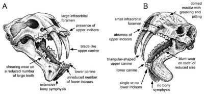 fig-1-1x.jpg