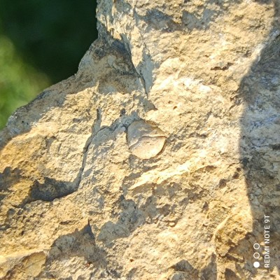 IMG_20220509_181631.jpg (2.92 MiB) Przejrzano 2890 razy IMG_20220509_181631.jpg