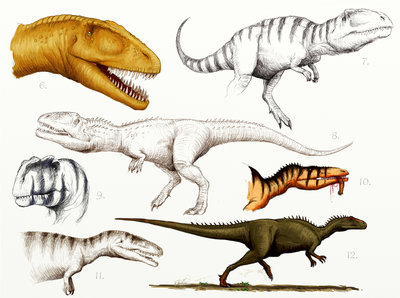 6. Carcharodontosaurus<br />7. Giganotosaurus<br />8. Mapusaurus<br />9. Yangchuanosaurus<br />10. Australovenator<br />11. Tyrannotitan<br />12. Neovenator