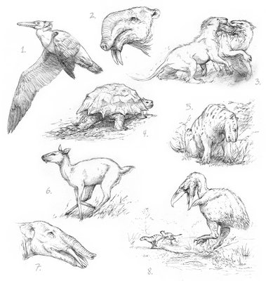 1. Osteodontornis; 2. Deinotherium; 3. Hyaenodon; 4. Meiolania; 5. Borhyaena; 6. Blastomeryx; 7. Gomphotherium; 8. Kelenken