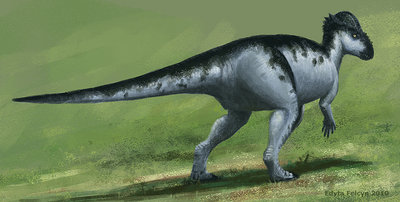 Pachycefalozaur