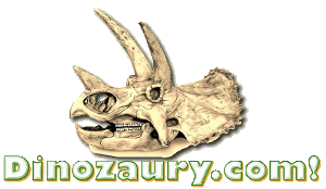 Obrazek