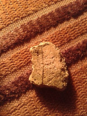 Zdjęcie-0057_e2.jpg (681.98 KiB) Przejrzano 4720 razy Zdjęcie-0057_e2.jpg