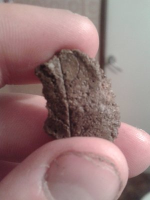 Zdjęcie-0064_e1.jpg (202.4 KiB) Przejrzano 4716 razy Zdjęcie-0064_e1.jpg