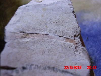 IMG_0007.JPG (291.59 KiB) Przejrzano 6447 razy IMG_0007.JPG