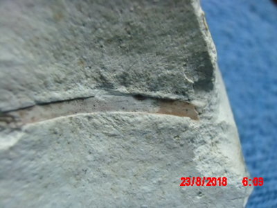 IMG_0023.JPG (262.84 KiB) Przejrzano 6774 razy IMG_0023.JPG