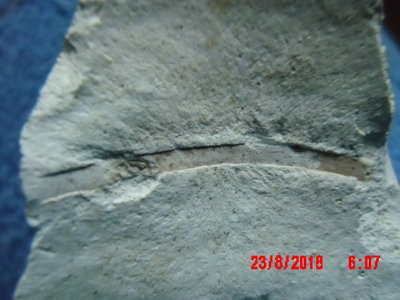 IMG_0020.JPG (255.94 KiB) Przejrzano 6774 razy IMG_0020.JPG