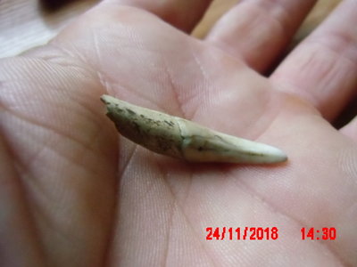 IMG_0005.JPG (229.04 KiB) Przejrzano 12070 razy IMG_0005.JPG