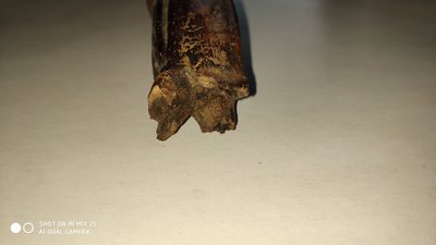 IMG_20181224_113642.jpg