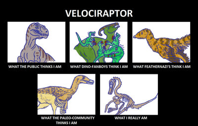 velociraptor_s_image_by_tomozaurus.jpg