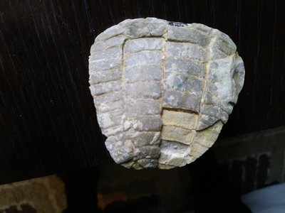 20190420_144142.jpg (3.34 MiB) Przejrzano 4037 razy 20190420_144142.jpg