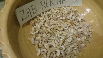 DSC_0583.JPG (618.17 KiB) Przejrzano 5438 razy DSC_0583.JPG