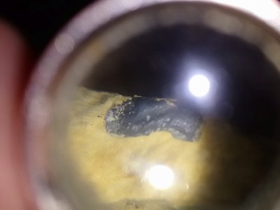 DSC_2135.JPG (3.69 MiB) Przejrzano 16423 razy DSC_2135.JPG