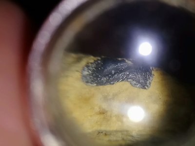 DSC_2133.JPG (3.92 MiB) Przejrzano 16422 razy DSC_2133.JPG