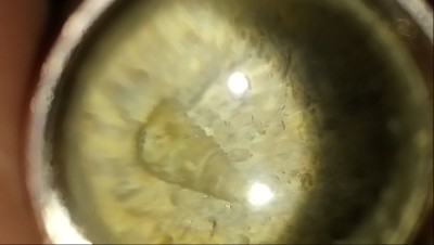 DSC_0309.JPG (2.06 MiB) Przejrzano 2920 razy DSC_0309.JPG