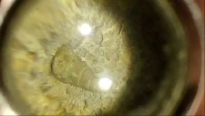 DSC_0307.JPG (2.06 MiB) Przejrzano 2983 razy DSC_0307.JPG