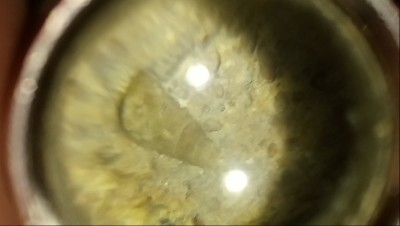 DSC_0308.JPG (2.02 MiB) Przejrzano 2983 razy DSC_0308.JPG