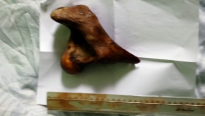 DSC_0760.JPG (2.75 MiB) Przejrzano 3598 razy DSC_0760.JPG