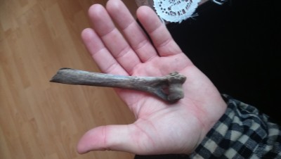 DSC_0959.JPG (3.64 MiB) Przejrzano 2958 razy DSC_0959.JPG