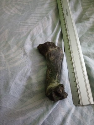 DSC_1112_Easy-Resize.com.jpg (239.06 KiB) Przejrzano 15439 razy DSC_1112_Easy-Resize.com.jpg