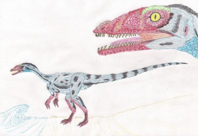 Dracoraptor.jpg