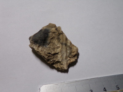 100_0307.JPG (153.39 KiB) Przejrzano 3383 razy 100_0307.JPG