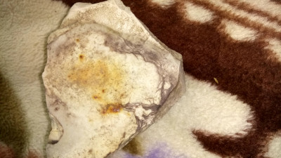 DSC_0525.JPG (3.29 MiB) Przejrzano 5374 razy DSC_0525.JPG