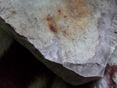 100_0514.JPG (939.07 KiB) Przejrzano 5594 razy 100_0514.JPG