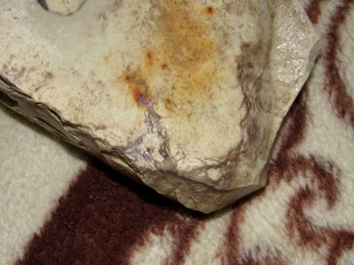 100_0535.JPG (912.88 KiB) Przejrzano 5360 razy 100_0535.JPG