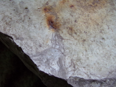 100_0552.JPG (787.22 KiB) Przejrzano 5351 razy 100_0552.JPG