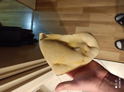 IMG_20210313_182142.jpg (2.62 MiB) Przejrzano 13578 razy IMG_20210313_182142.jpg