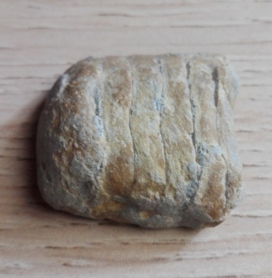 IMG_20210802_124509.jpg (1.28 MiB) Przejrzano 2296 razy IMG_20210802_124509.jpg