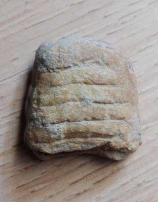 IMG_20210802_124441.jpg (1.05 MiB) Przejrzano 2296 razy IMG_20210802_124441.jpg