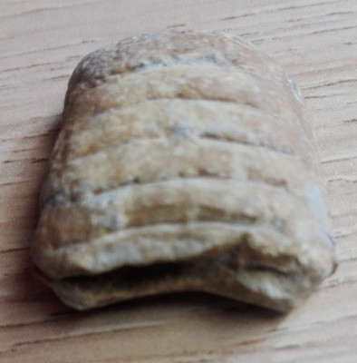 IMG_20210802_124414.jpg (1.04 MiB) Przejrzano 2296 razy IMG_20210802_124414.jpg